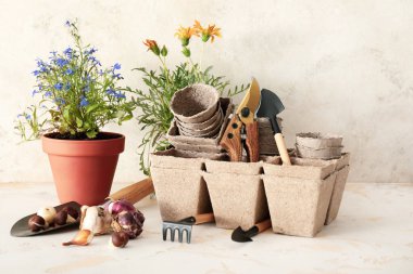 Bahçe aletleri ve çiçekleri açık arkaplanda