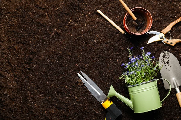 Dostawy Ogrodnictwa Roślinami Tle Gleby — Zdjęcie stockowe