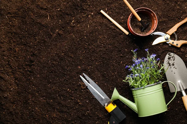 Benodigdheden Voor Tuinieren Met Planten Bodemgrond — Stockfoto