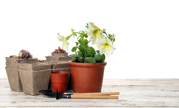 Gardening Tools Pot Flower White Background — Stock Photo, Image