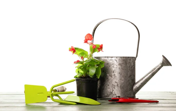 Gardening Tools Pot Flower White Background — Stock Photo, Image