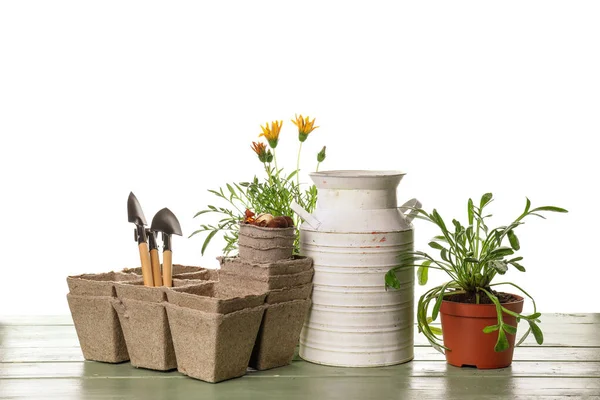 Gardening Tools Pots Flowers White Background — Stock Photo, Image