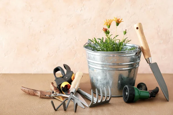 Gardening Tools Pot Flower Color Background — Stock Photo, Image