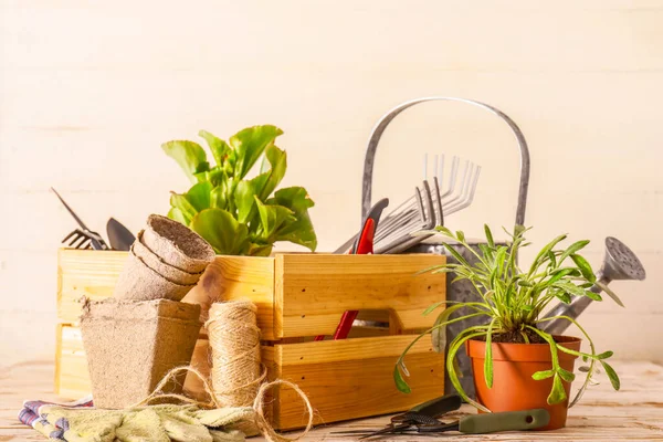 Gardening Tools Plants Light Background — Stock Photo, Image