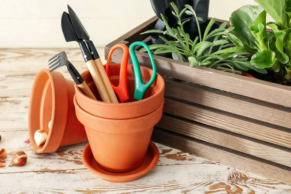 Herramientas Jardinería Con Macetas Plantas Sobre Fondo Claro — Foto de Stock