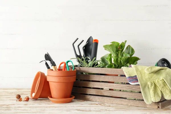Gardening Tools Pots Plants Light Background — Stock Photo, Image