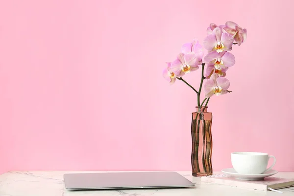 Vase Beautiful Orchid Flowers Laptop Cup Coffee Table — Stock Photo, Image