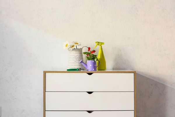 Arrosoir Avec Fleurs Dans Chambre — Photo