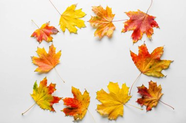 Beyaz arkaplanda sonbahar yapraklarından yapılmış çerçeve