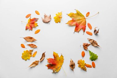 Beyaz arkaplanda sonbahar yapraklarından yapılmış çerçeve