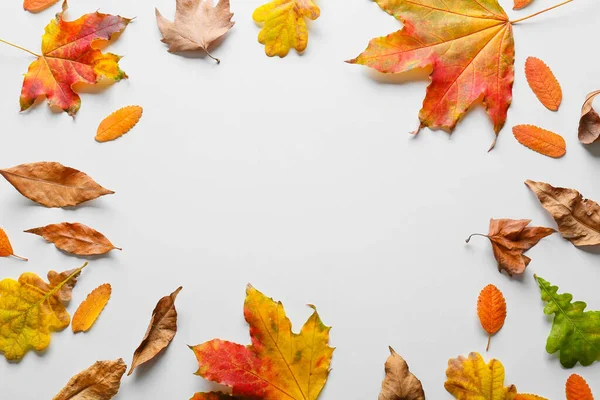 Frame Made Autumn Leaves White Background — Stock Photo, Image