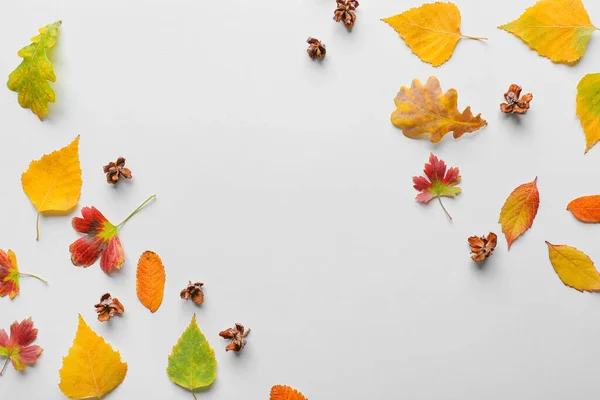 Beautiful Autumn Composition Leaves White Background — Stock Photo, Image