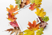 Gyönyörű őszi kompozíció levelek és üres keret fehér háttér
