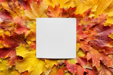 Sonbahar yapraklarında boş kart
