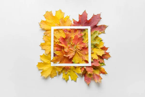 Beautiful Autumn Composition Leaves Blank Frame White Background — Stock Photo, Image