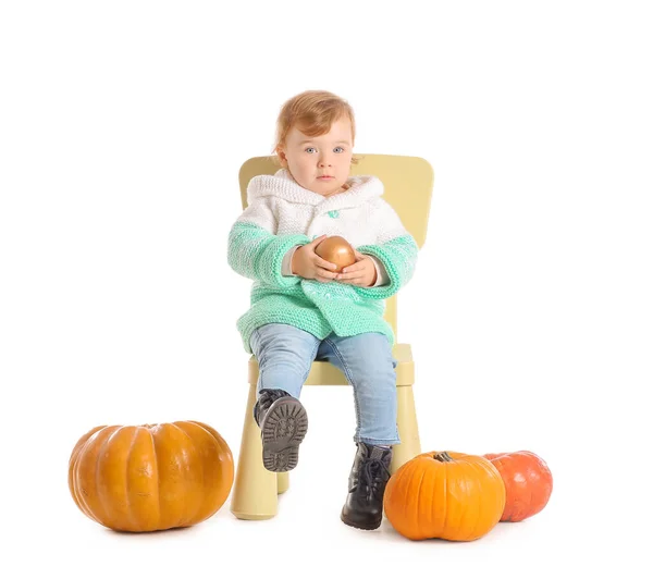 Χαριτωμένο Μωρό Κολοκύθες Κάθεται Καρέκλα Λευκό Φόντο — Φωτογραφία Αρχείου