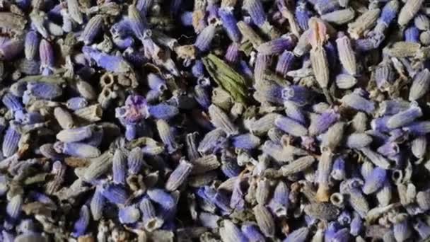 乾燥したラベンダーの花のヒープ トップビュー — ストック動画