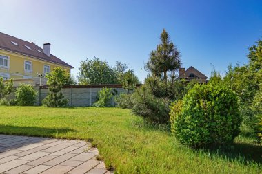 Evin yakınındaki güzel yeşil bitkiler