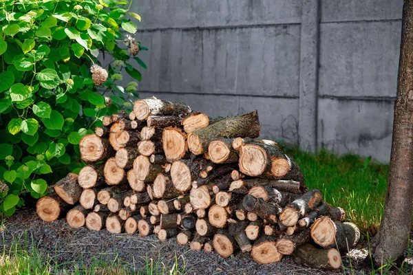 Pile Bois Chauffage Préparée Pour Hiver Extérieur — Photo