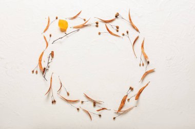 Beyaz arkaplanda güzel sonbahar kompozisyonu