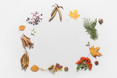 Beyaz arkaplanda sonbahar yapraklarından yapılmış güzel çerçeve