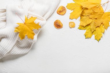 Güzel sonbahar kompozisyonu, beyaz arka planda giysiler.