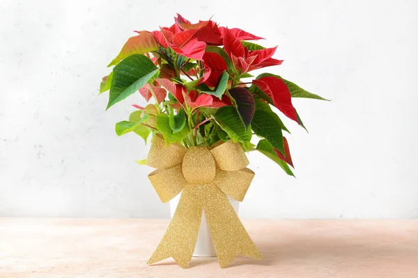 Christmas Plant Poinsettia Table — Stock Photo, Image