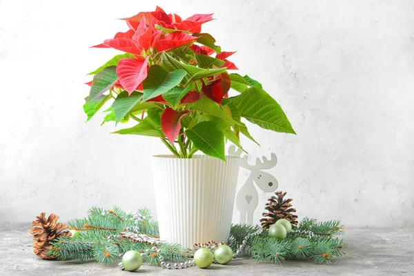 Pianta Natale Poinsettia Arredamento Tavola — Foto Stock