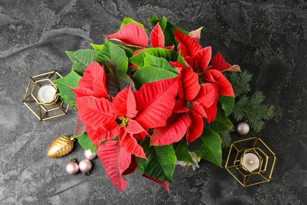 Pianta Natale Poinsettia Arredamento Tavola — Foto Stock