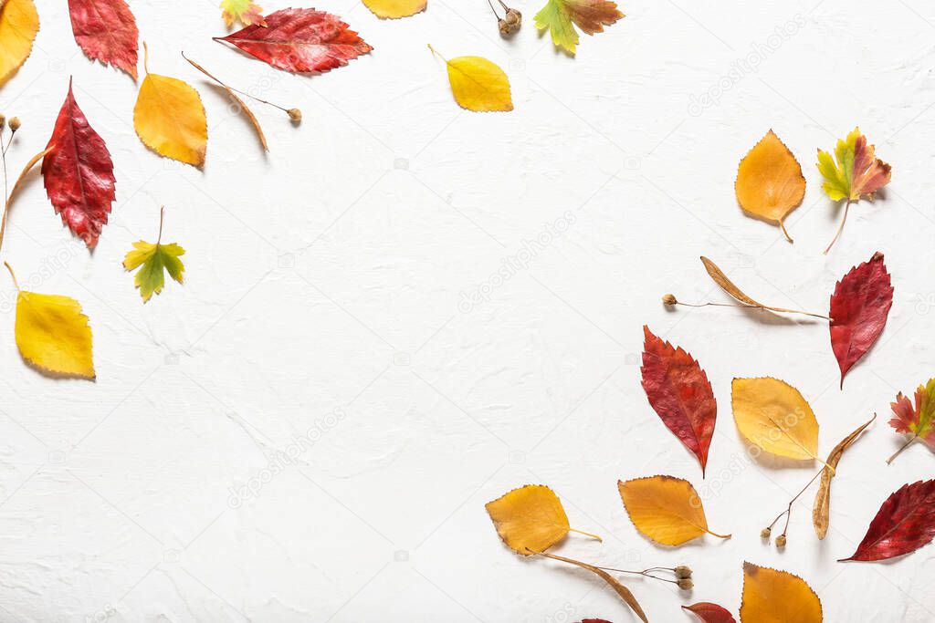 Beautiful autumn composition on white background