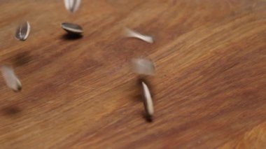 Tahta masaya düşen ayçekirdeği, yakın plan.