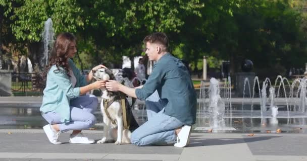 Casal Jovem Com Cão Husky Bonito Perto Fontes Parque — Vídeo de Stock