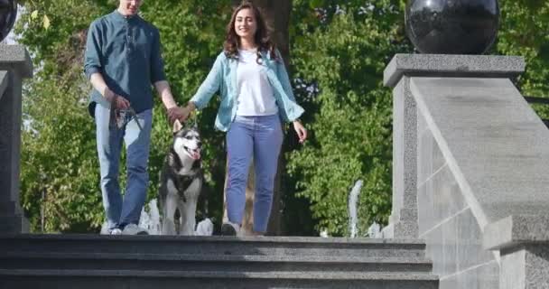 年轻夫妇带着可爱的哈士奇狗在公园里散步 — 图库视频影像