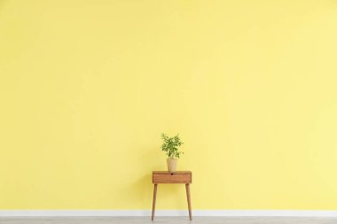 Renk duvarına yakın çiçekli masa