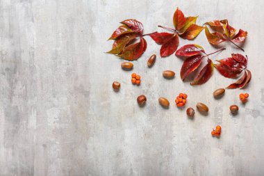 Gri arkaplanda güzel sonbahar kompozisyonu