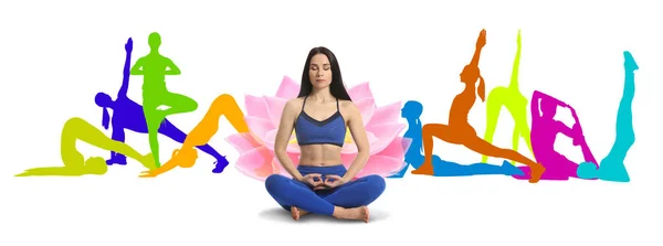 Mediterende Jonge Vrouw Silhouetten Van Mensen Die Yoga Beoefenen Witte — Stockfoto