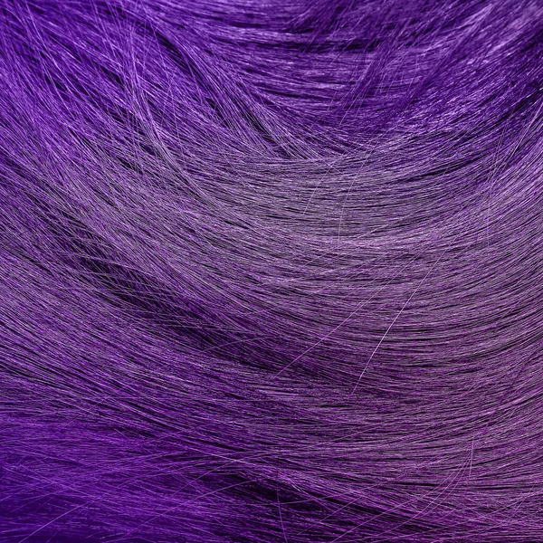 Довге Фіолетове Волосся Фон Крупним Планом — стокове фото