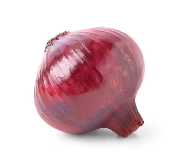 Fresh Raw Onion White Background — Stock Photo, Image