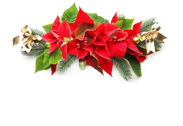 Blumen Der Weihnachtspflanze Weihnachtsstern Auf Weißem Hintergrund — Stockfoto