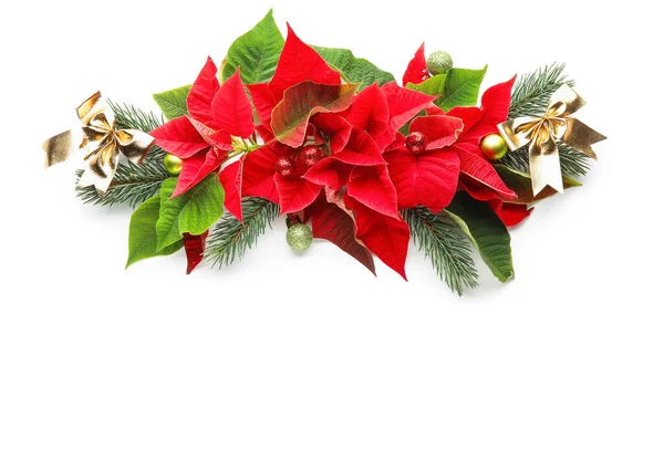 Flowers Christmas Plant Poinsettia White Background — Stock Photo, Image