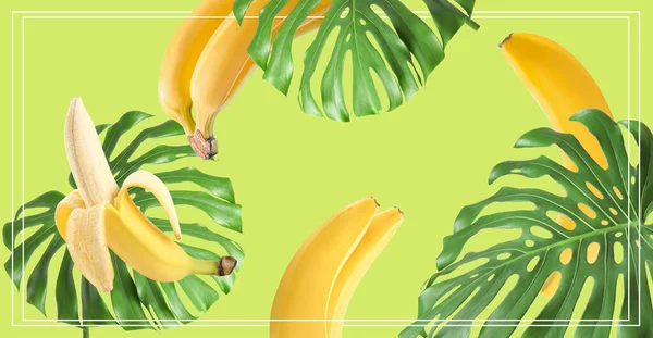 Ripe Bananas Tropical Leaves Green Background — Stock Photo, Image