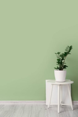 Odasında renk duvarı olan bir masa.