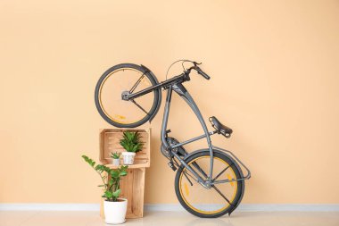 Bisikletli ve çiçekli modern odanın içi