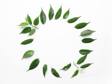 Beyaz arkaplanda yeşil çay yapraklarından yapılmış çerçeve