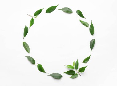 Beyaz arkaplanda yeşil çay yapraklarından yapılmış çerçeve
