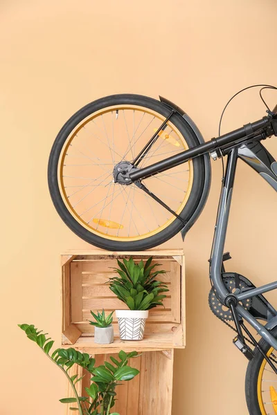 Interior Quarto Moderno Com Bicicleta Planta Sala — Fotografia de Stock