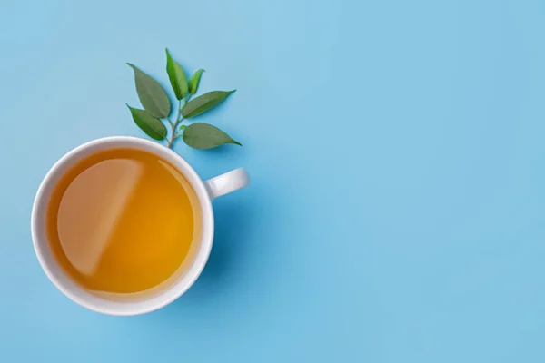 Cup Och Gröna Blad Färg Bakgrund — Stockfoto