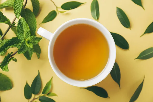 Tasse Tee Minze Und Grüner Tee Blätter Auf Farbigem Hintergrund — Stockfoto