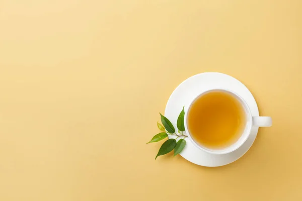 Чашка Чая Зеленые Чайные Листья Цветном Фоне — стоковое фото
