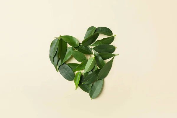 Heart Made Green Tea Leaves Light Background — Stock Photo, Image
